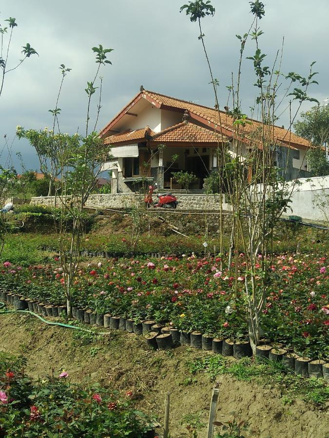 Shanty'S House บาตู ภายนอก รูปภาพ