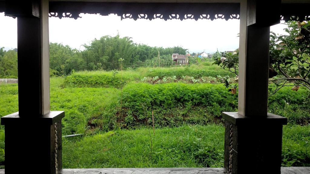 Shanty'S House บาตู ห้อง รูปภาพ