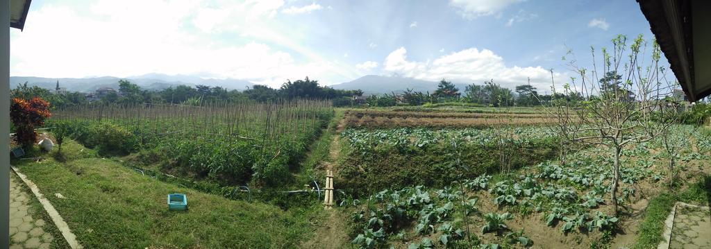 Shanty'S House บาตู ภายนอก รูปภาพ