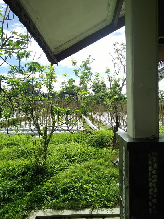 Shanty'S House บาตู ภายนอก รูปภาพ