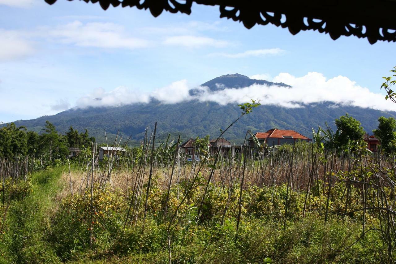Shanty'S House บาตู ภายนอก รูปภาพ